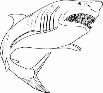 Simple Bull Shark Coloring Pages - Coloring Cool