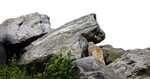 Natural huge boulders free image download