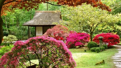 Beautiful japanese garden wallpapers