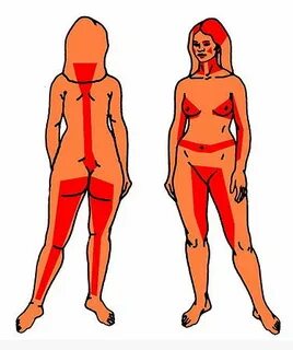 Sexualität/ Der Körper der Frau - Wikibooks, Sammlung freier