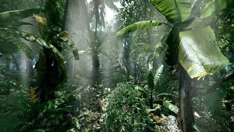 #515746 1920x1080 jungle theme background images JPG 680 kB 