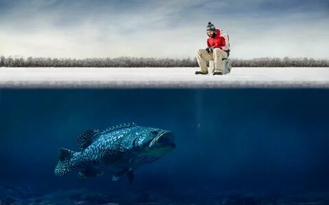 Ice fishing wallpaper Fish wallpaper, Fish, Cool fish