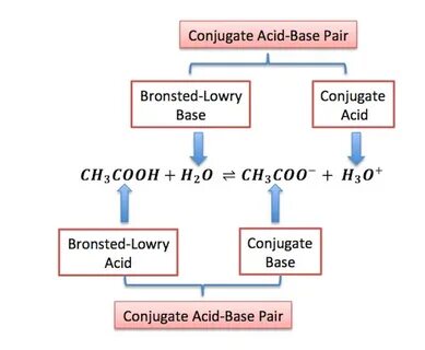 30 Label Each Reactant And Product As A Bronsted Acid Or Bas