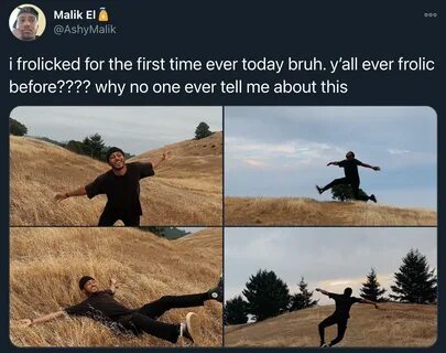 y’all ever frolic before???? /r/wholesomememes Wholesome Mem