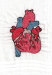 Anatomical Heart hand embroidery (front) 070514 Hand embro. 