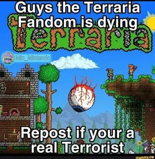 Post All Terraria Memes Here Fandom - Mobile Legends