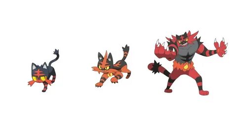 Litten evolution Tynker