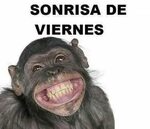meme-sonrisa-viernes - El Parana Diario