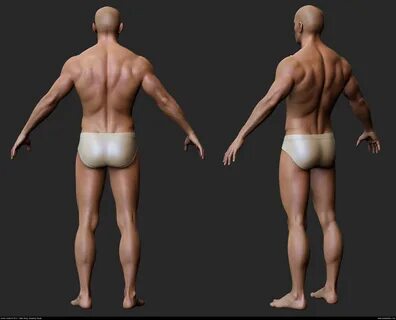 Male Body - Base Mesh Andor Kollar - Character Artist