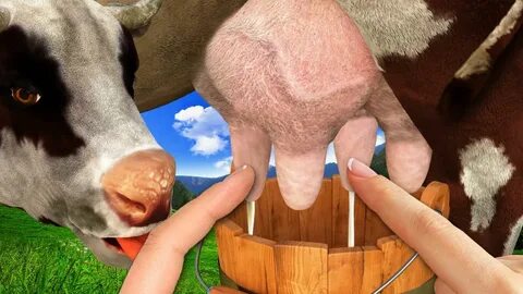 অ্যান্ড্রয়েডের জন্য Cow milking - APK ডাউনলোড