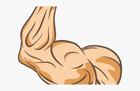 PNG Download Malaysia Bodybuilding Muscle Man Arm Bodybuildi