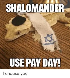 SHALOMANDER USE PAY DAY I Choose You Day Meme on esmemes.com