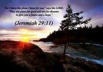 Jeremiah 29:11 nlt 11-24-14 Today's Bible Scripture Pictur. 
