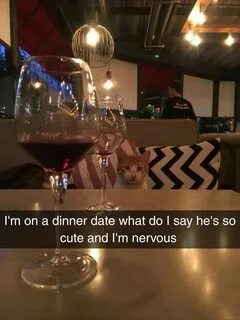 Mousy first date Memes of the day, Funny pictures, Animal me