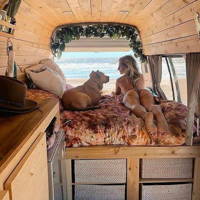 Photo by Vanlife Travel on November 05, 2020. 