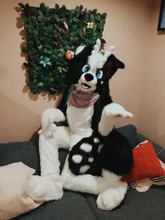 Dogs on the couch!! MrsEclair Fursuits