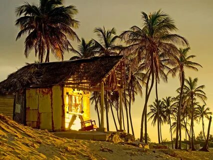 Palm trees, hut, sunset, tropical 1242x2688 iPhone 11 Pro/XS