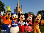 Goofy, Donald, Mickey, Minnie and Pluto at Disneyland Disney
