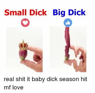 Small Dick Big Dick Real Shit It Baby Dick Season Hit Mf Lov