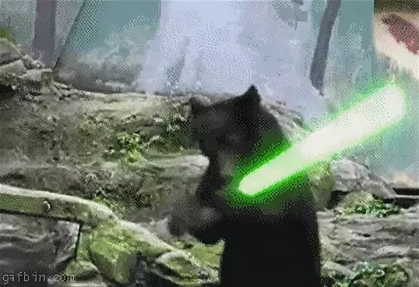 Гифка padawan гиф картинка, скачать анимированный gif на GIF