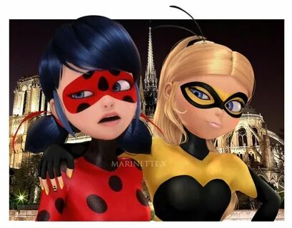 Ladybug and Queen Bee Miraculous Amino