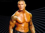 Randy Orton Wallpaper Wallpapers - Top Free Randy Orton Wall