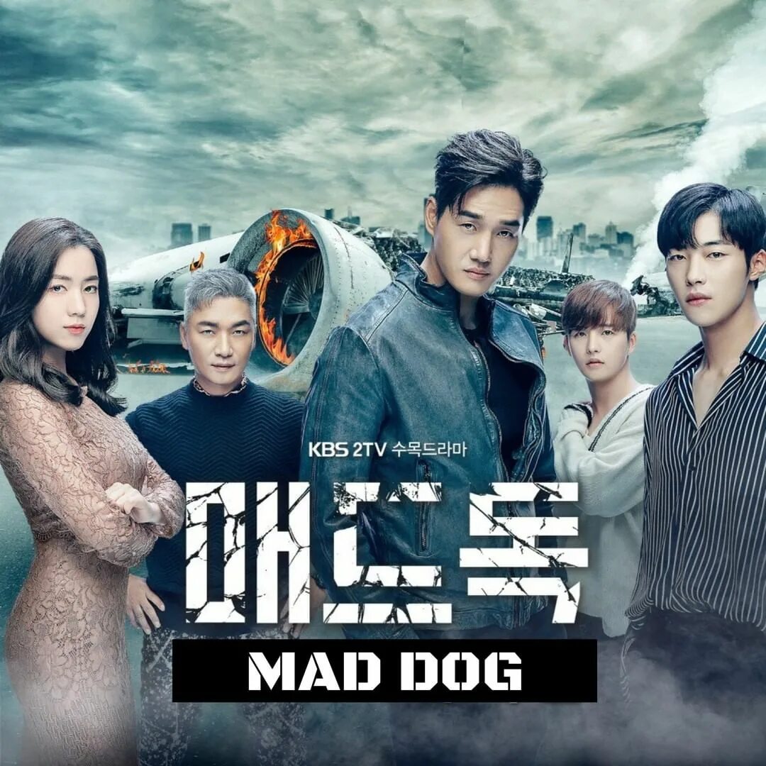 Bonjour Corée в Instagram: "#DRAMA Mad dog (매드둑) est un drama d'...
