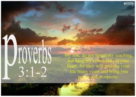 Proverbs 3:1-2 Book of proverbs, Proverbs, Psalm 24