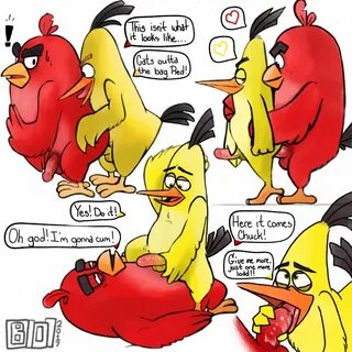 Yaoi pinup chuck (angry birds)+red (angry birds)
