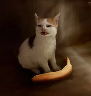 Create meme "cat , the cat and the banana, Cat " - Pictures 