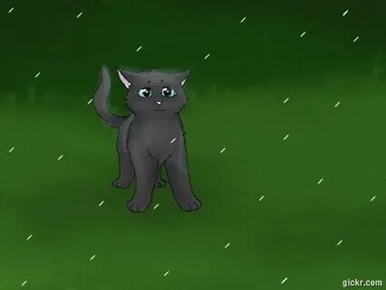 Warrior cats animation warriors GIF - Find on GIFER