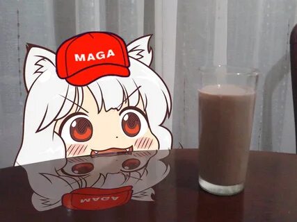 Chocolaty Milk MAGA Momiji Know Your Meme