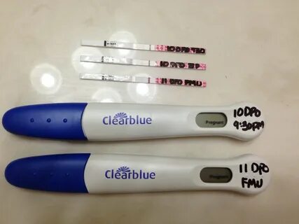 11 Dpo To 12 Dpo Test Related Keywords & Suggestions - 11 Dp