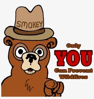 Smokey The Bear Png - 894x894 PNG Download - PNGkit