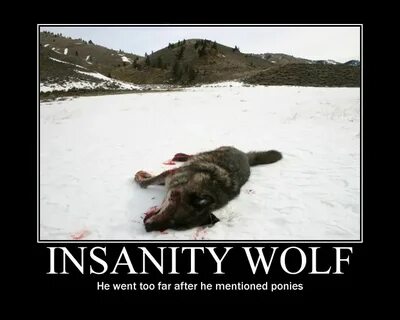 Insanity wolf Memes