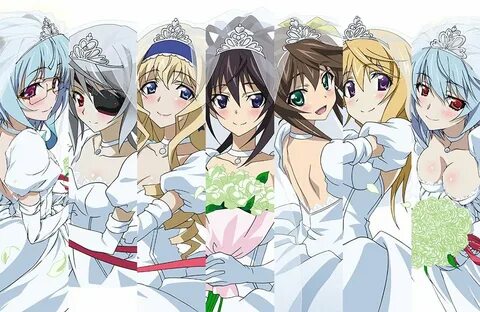 Kiyoe (ピ-タ-) on Twitter: "BD&DVD Infinite Stratos S2 Blu-ray