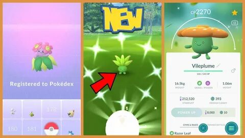 SHINY ODDISH FOUND IN POKEMON GO! Shiny Vileplume & Bellossm