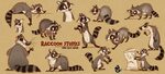 ArtStation - Raccoon World