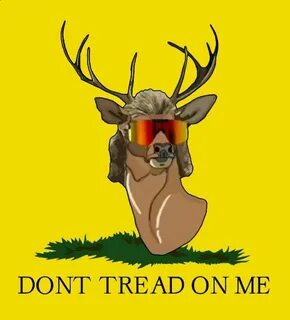 Pin on Deer Mullet ARMY