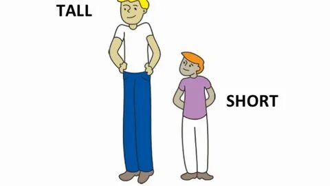 Tall and Short Lesson - YouTube