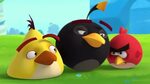 Angry Birds Slingshot Stories S2 Ep 7 Unflappable - YouTube