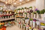Дизайн цветочных магазинов (54 фото)