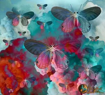 Mar Cantón (Kiki) on Twitter: ""Spring Butterfly love" by #l