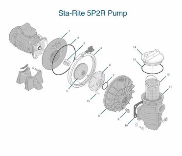 37 Sta Rite Pump Diagram - Diagram Resource