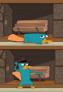 Perry template Perry the Platypus Perry the platypus, Phinea