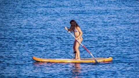 Woman on the paddle board at summer free image download