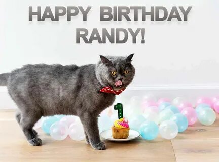 Randy Cat Birthday Meme - Happy Birthday