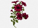 Bunga Merah Muda, Stiker, Katak, Rosemallow, Kartu Ucapan, P
