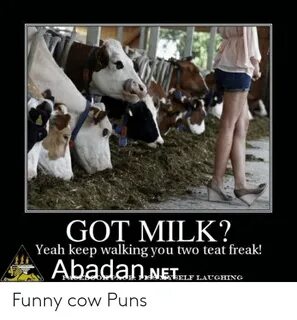 🐣 25+ Best Memes About Funny Cow Memes Funny Cow Memes