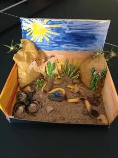 Desert habitat diorama. I made it for my son's 1st grade pro